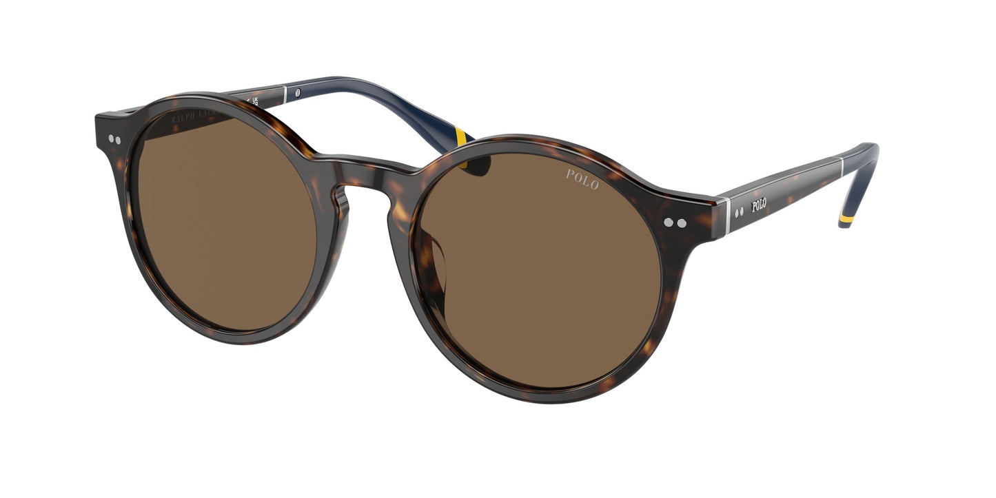 Polo Ralph Lauren PH4204U 500373 Man Sunglasses Acetate Turtle Brown Pantos Normal