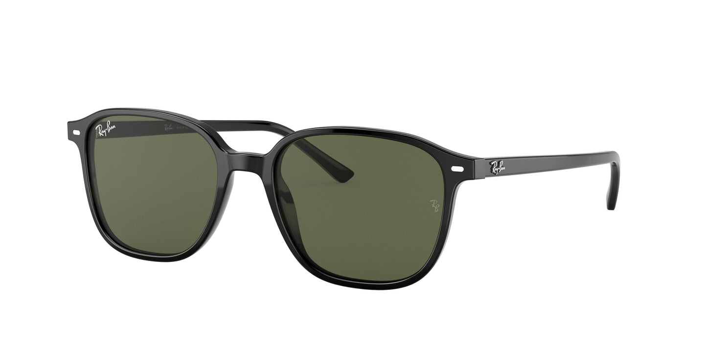 Ray - Ban RB2193 LEONARD 901/31 Unisex Sunglasses Acetate Black G15 Squared Normal