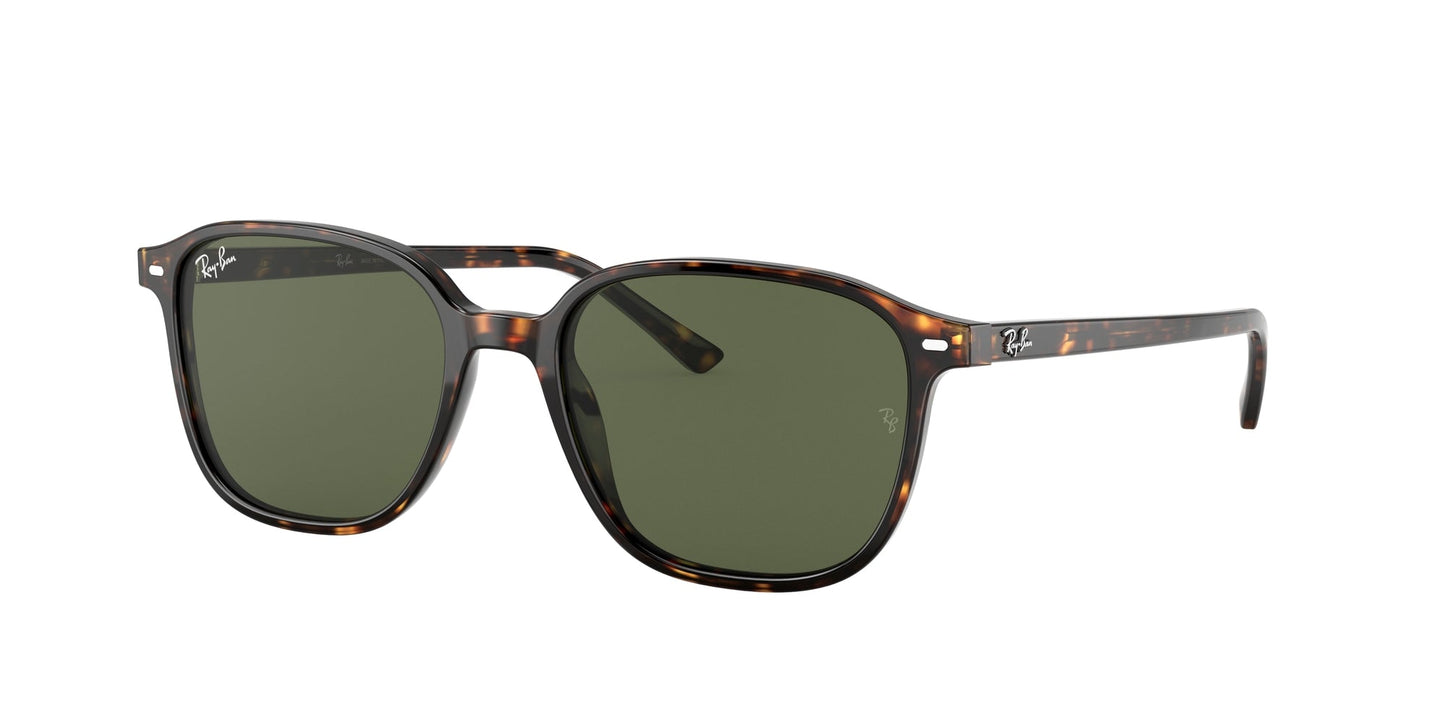Ray - Ban RB2193 LEONARD 902/31 Unisex Sunglasses Acetate Turtle G15 Squared Normal