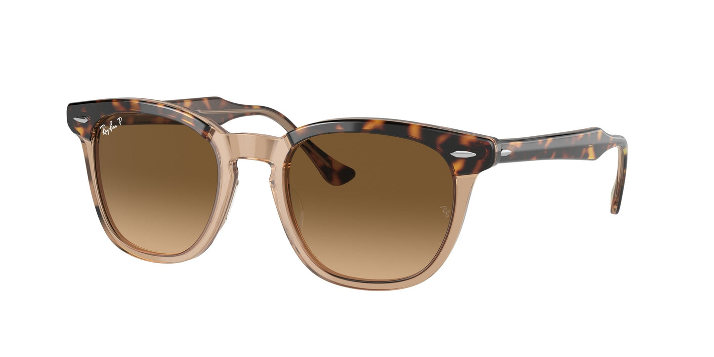 Ray - Ban RB2298 HAWKEYE 1292M2 Unisex Sunglasses Acetate Gold Brown Squared Polarized Shaded