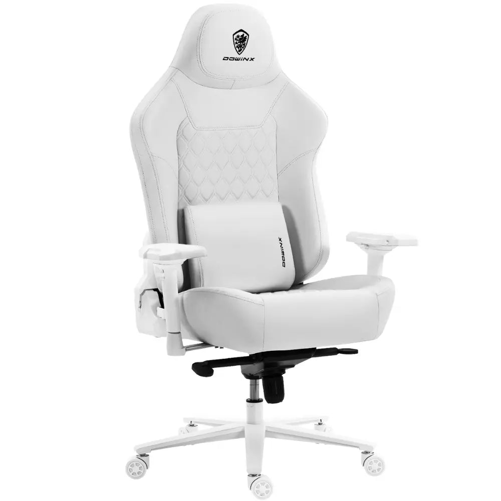 Dowinx Titan Series LS-66D1A White – 200kg Load Capacity