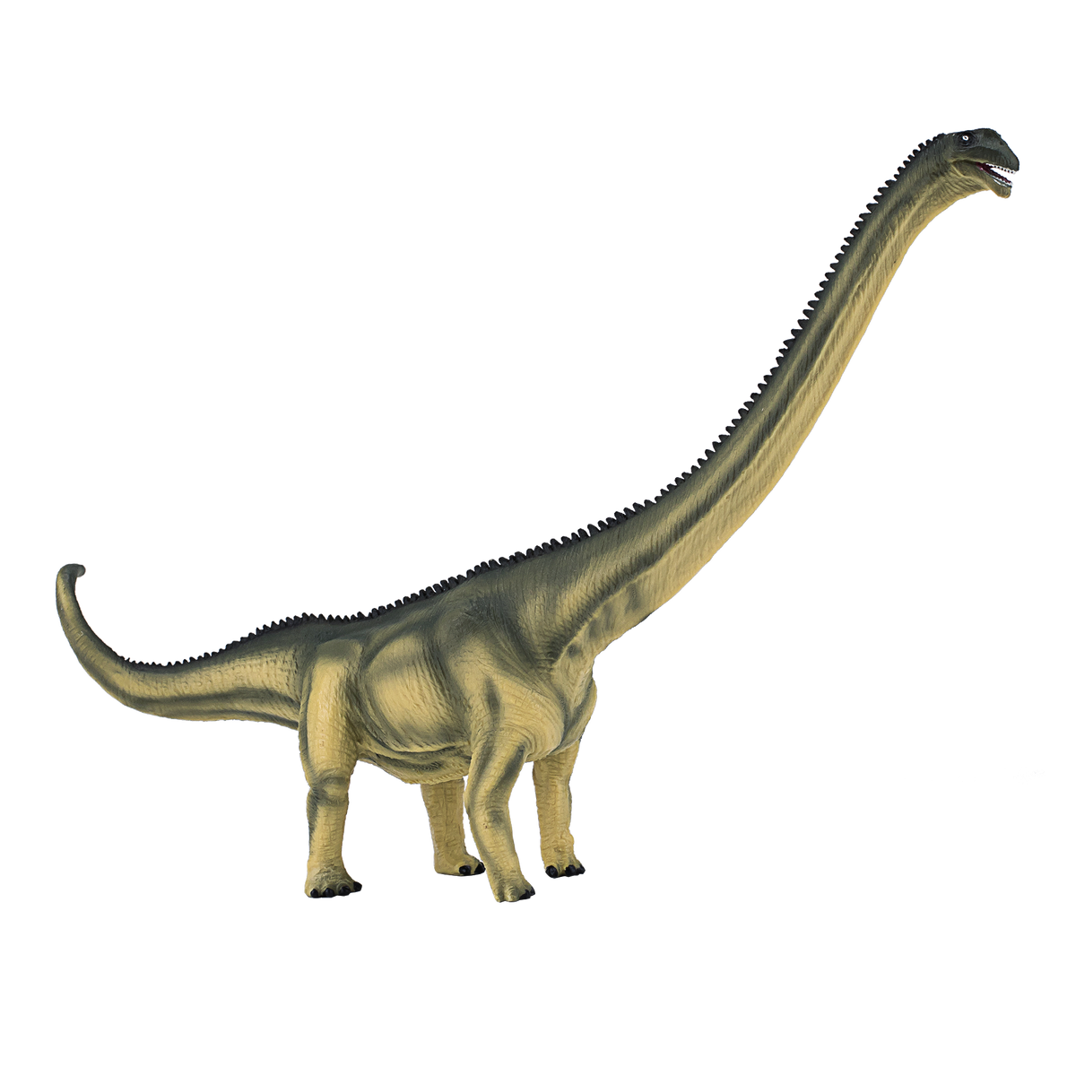 Deluxe Mamenchisaurus