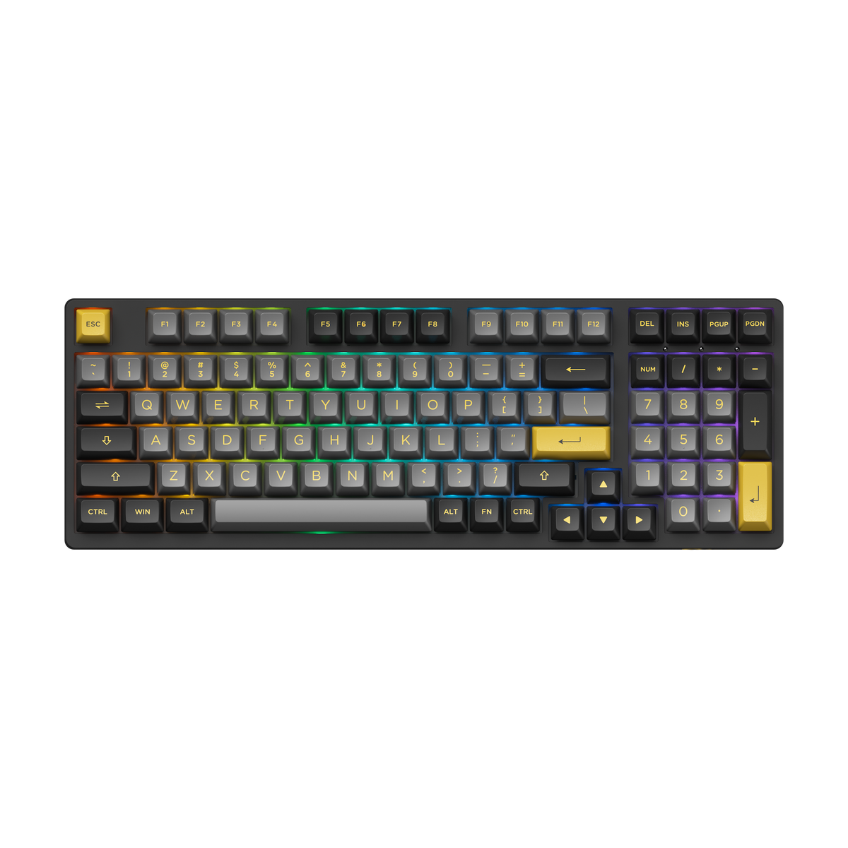 Black & Gold 3098B Plus