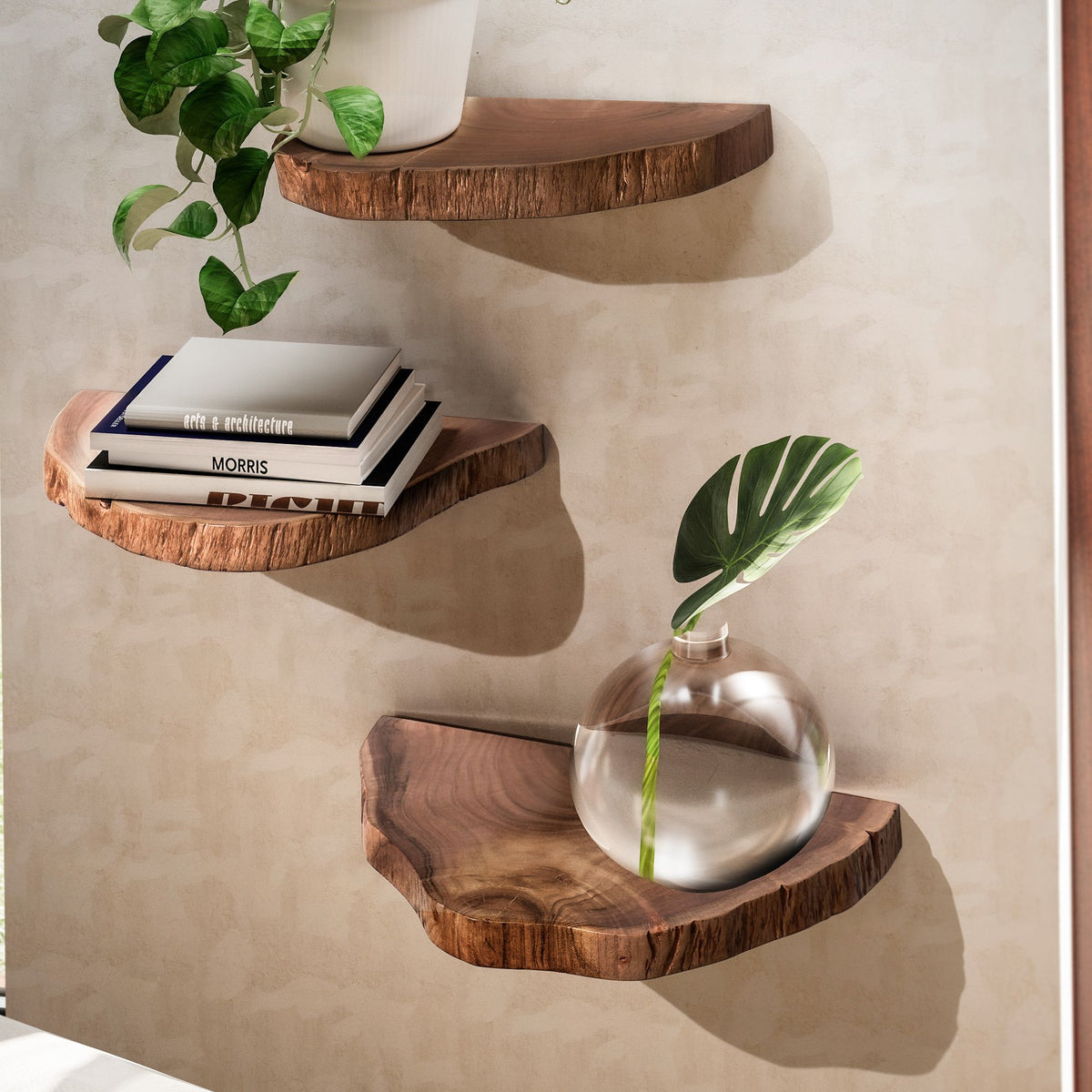 FineBuy Wandregal 3er Set Akazie Vollholz Hängeregal Baumscheibe, Natur Pflanzentreppe für die Wand, Schweberegal Hängend mit Baumkante, Blumentreppe