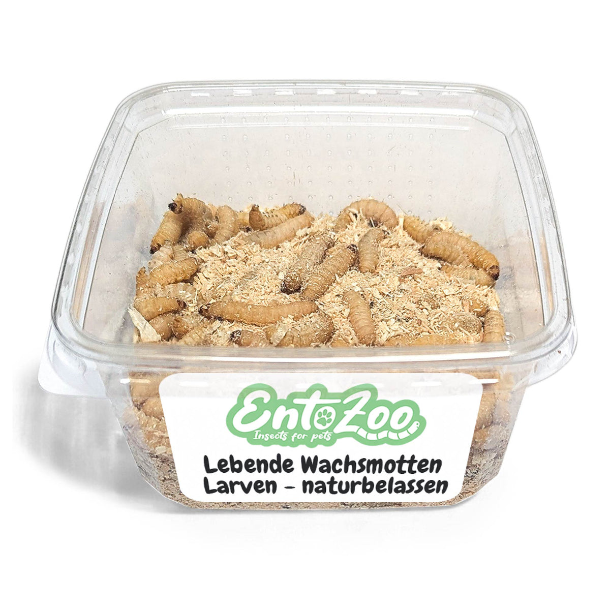 Lebende Wachsmotten Larven / Bienenmaden Larven in Substrat als Futtertier - 2 x 150 g
