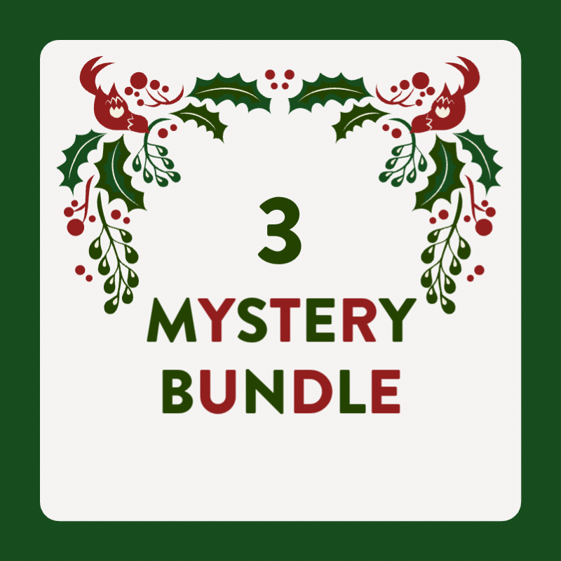 Festive Mystery Bundle of 3! | Adult Size 7-11