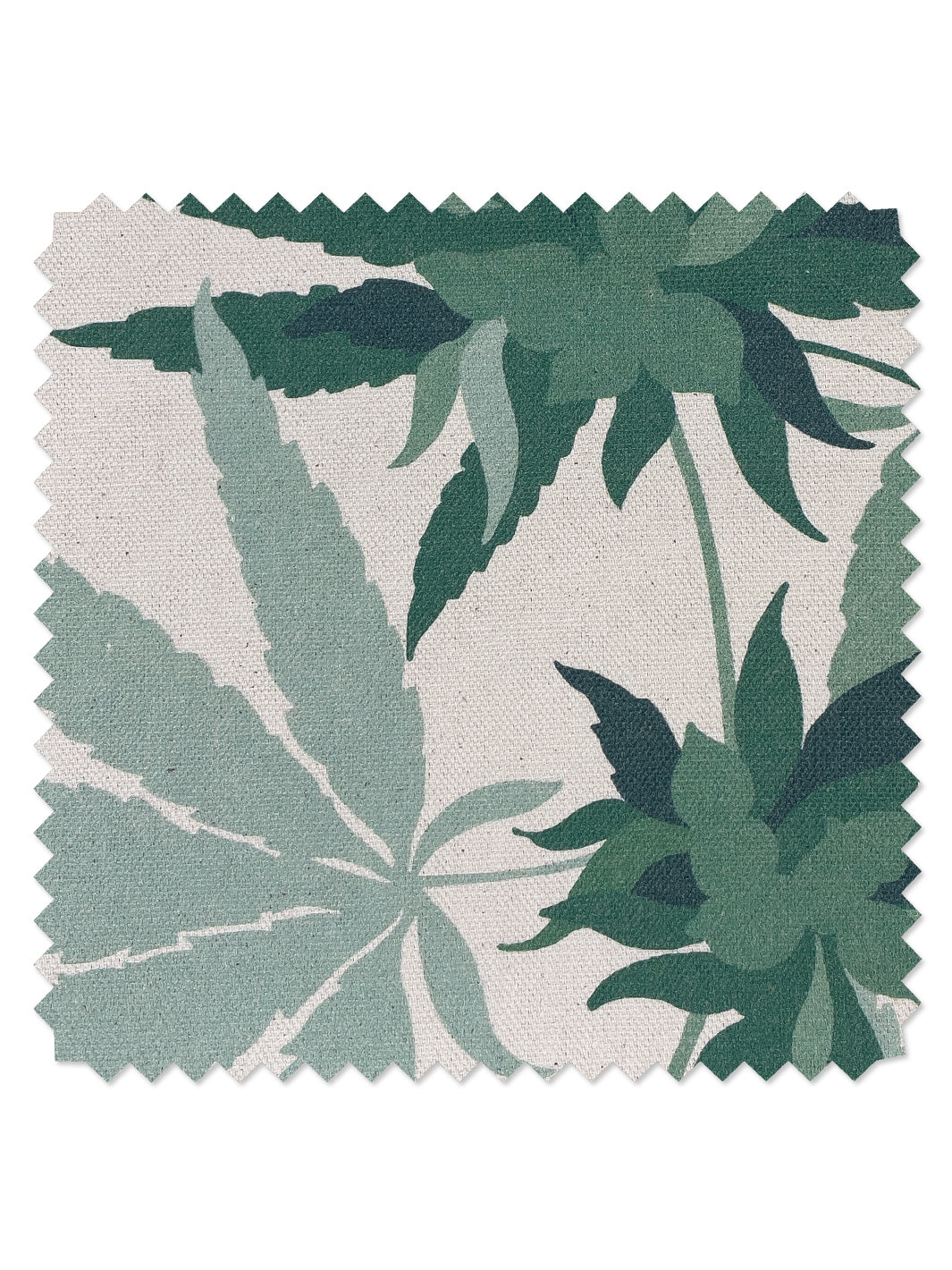 'Cannabis' Raw Canvas Fabric by Nathan Turner - Natural on Raw Canvas - RAW CANVAS / YARD