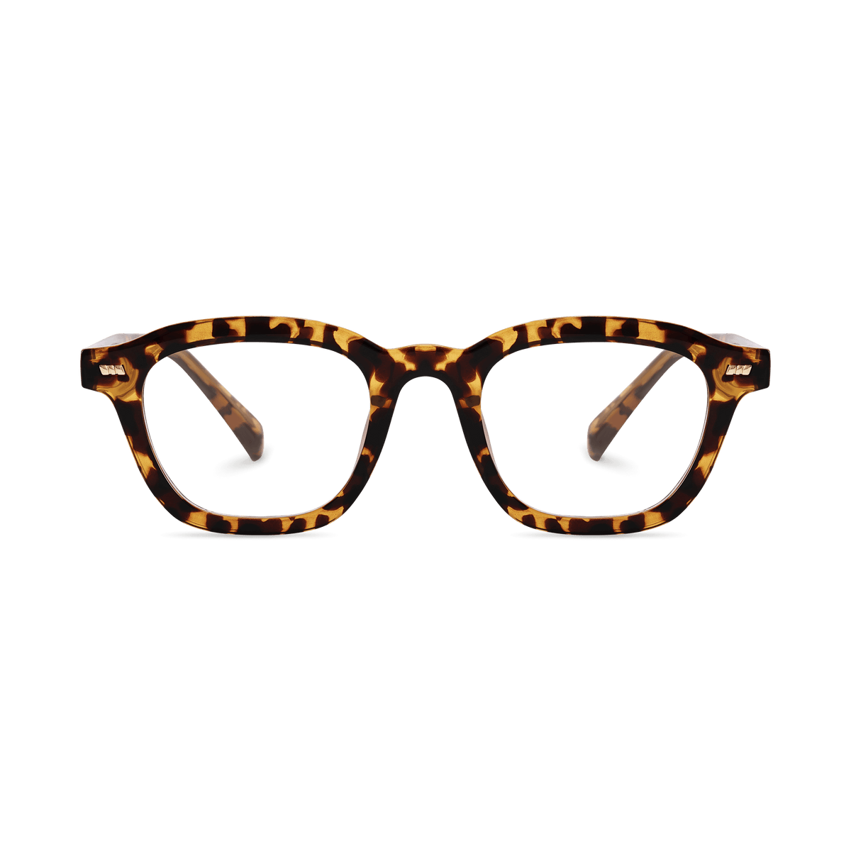 Collin Tortoise Square Eyeglasses | EYDOLOGY