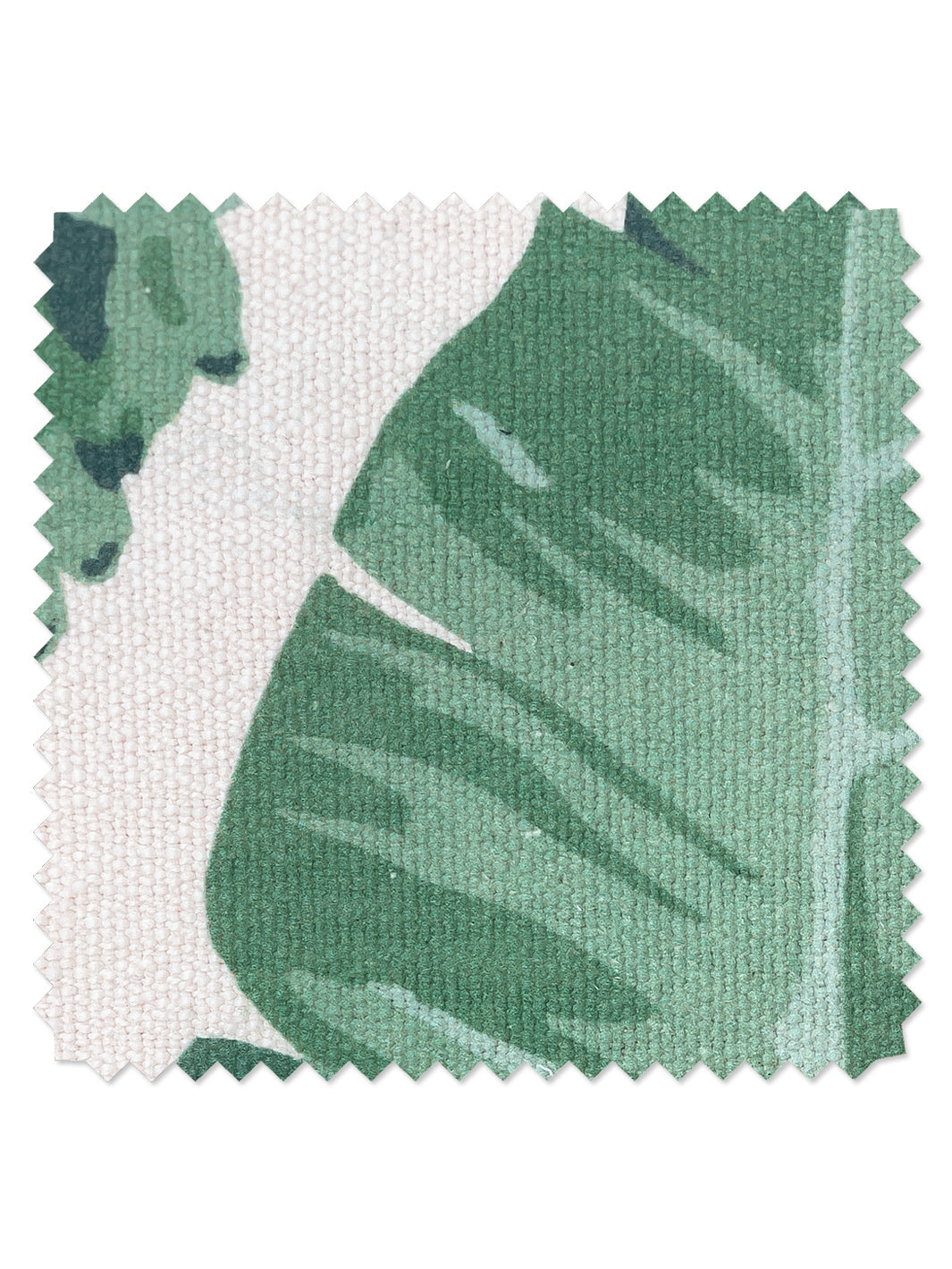 'Pacifico Palm' California Cotton Fabric by Nathan Turner - Natural - ORGANIC TWILL / YARD