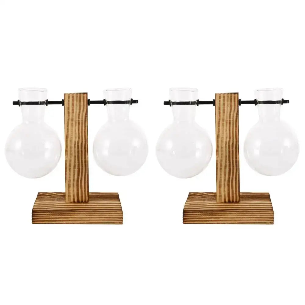 Glass Bulb Vase Set - 2Pcs Style B
