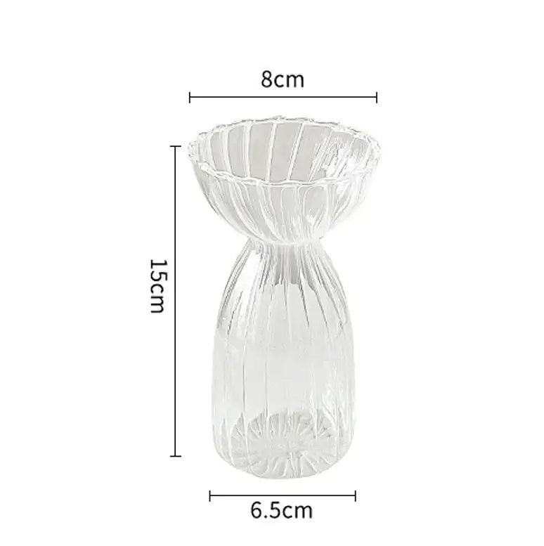 Transparent Glass Vase Set - N1