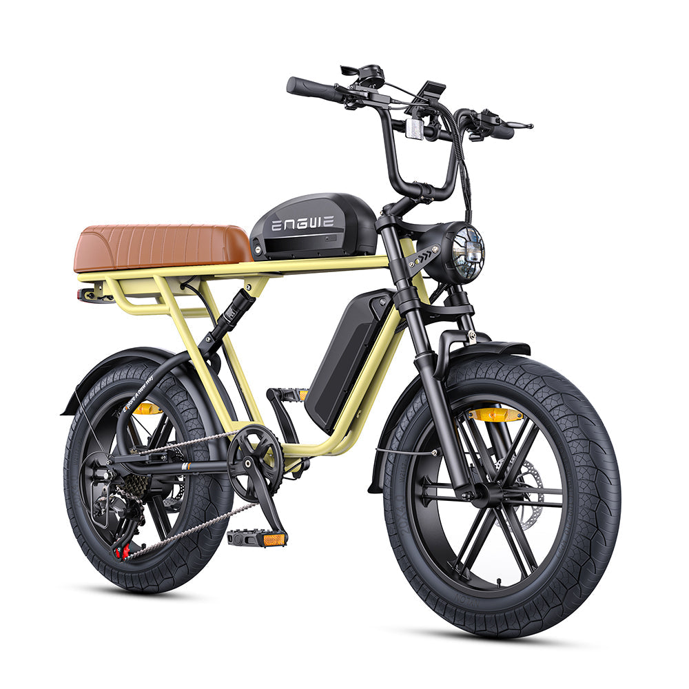 Engwe M1 250W Retro Electric Fat Bike with 20-inch Wheels and Dual Battery System