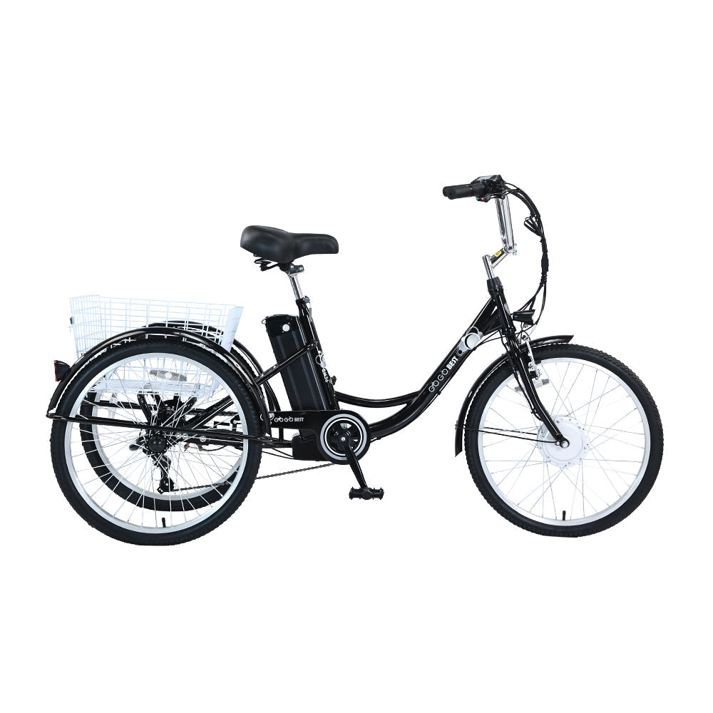 GOGOBEST GF100 350W 24-Inch Electric Cargo Tricycle E-Bike with Pedal Assist