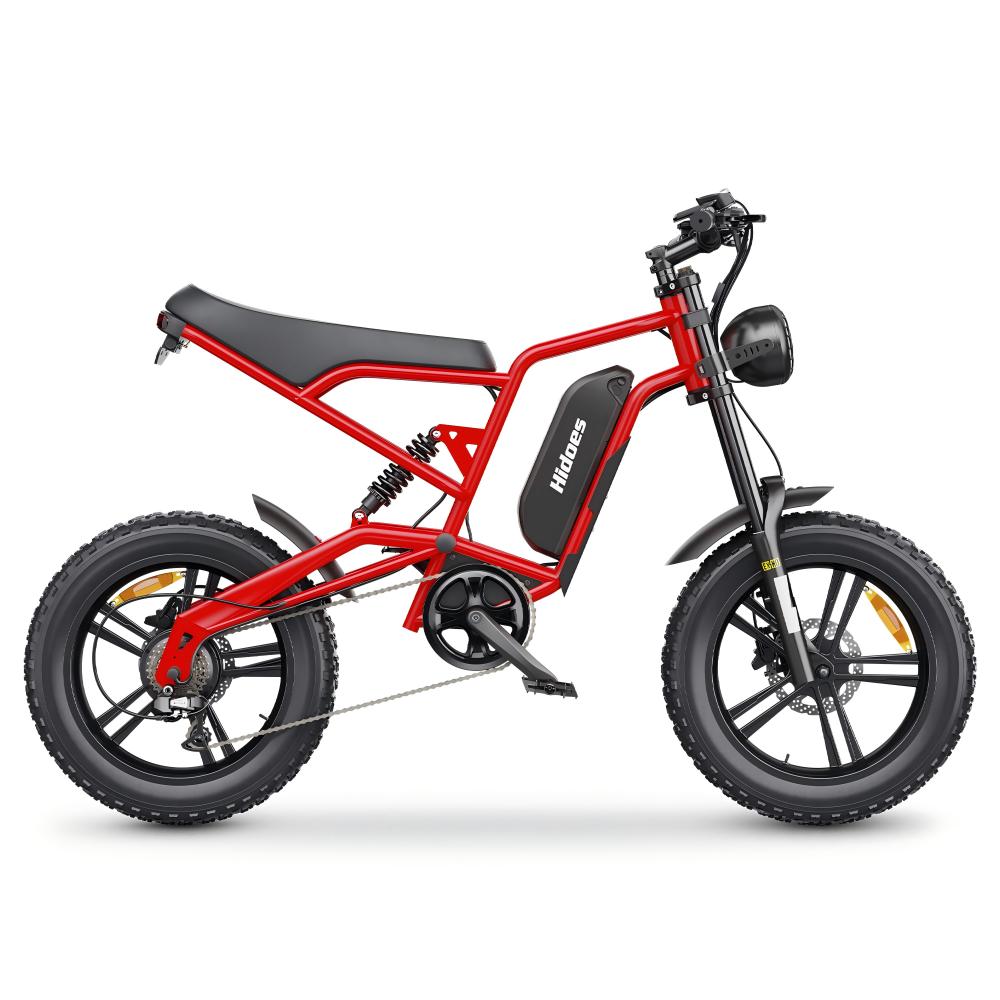 Hidoes B6 1200W 20-Inch Fat Tire Electric Bike with 48V 15Ah 720Wh Battery