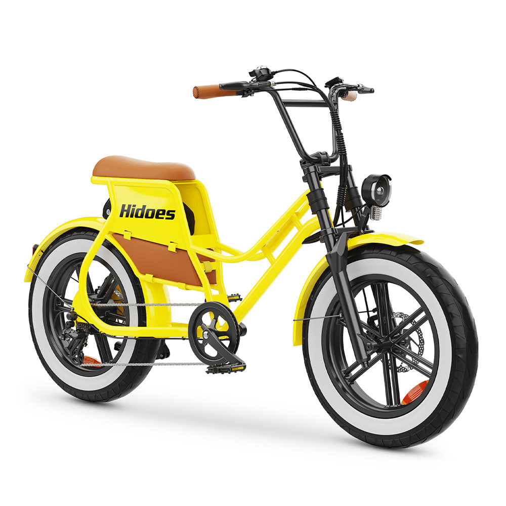 Hidoes C8 750W 20-Inch Fat Tire Electric Bike with 48V 17Ah 816Wh Battery
