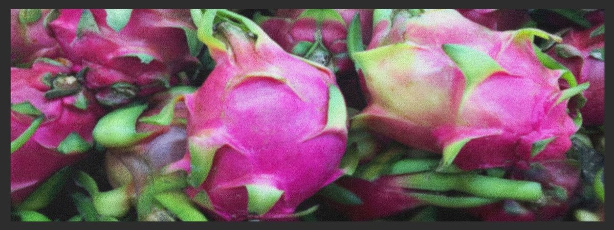 Küchenteppich Drachenfrucht 4384