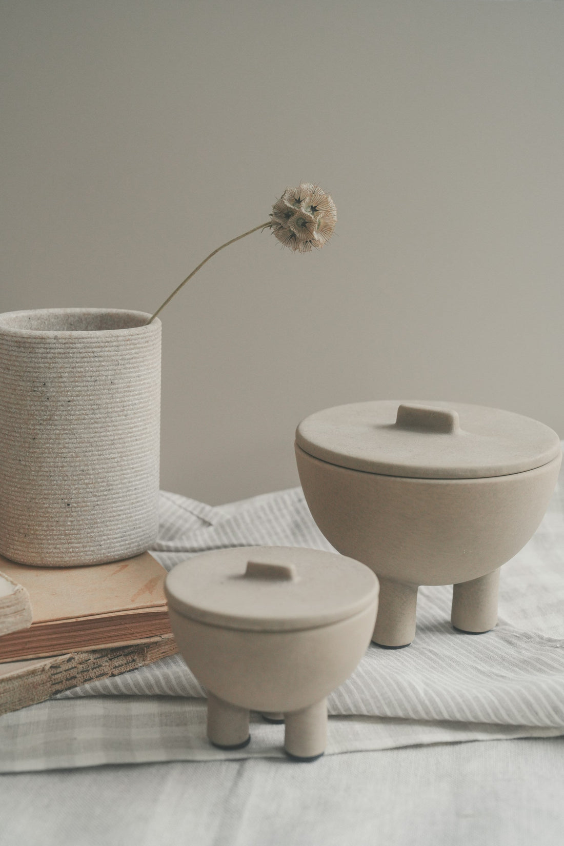 Quiet still life of ceramic jars, a dried flower and well-used books on striped fabric