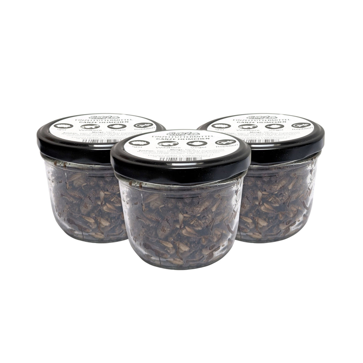 EntoZoo - ganze Heimchen im Glas - einzeln entnehmbar - als Futtertier - 3 x 100g