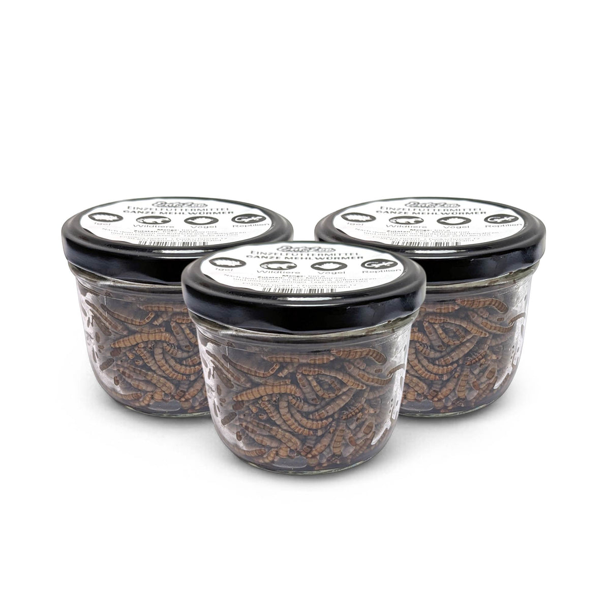 EntoZoo - ganze Mehlwürmer im Glas - einzeln entnehmbar - als Futtertier - 6 x 100g