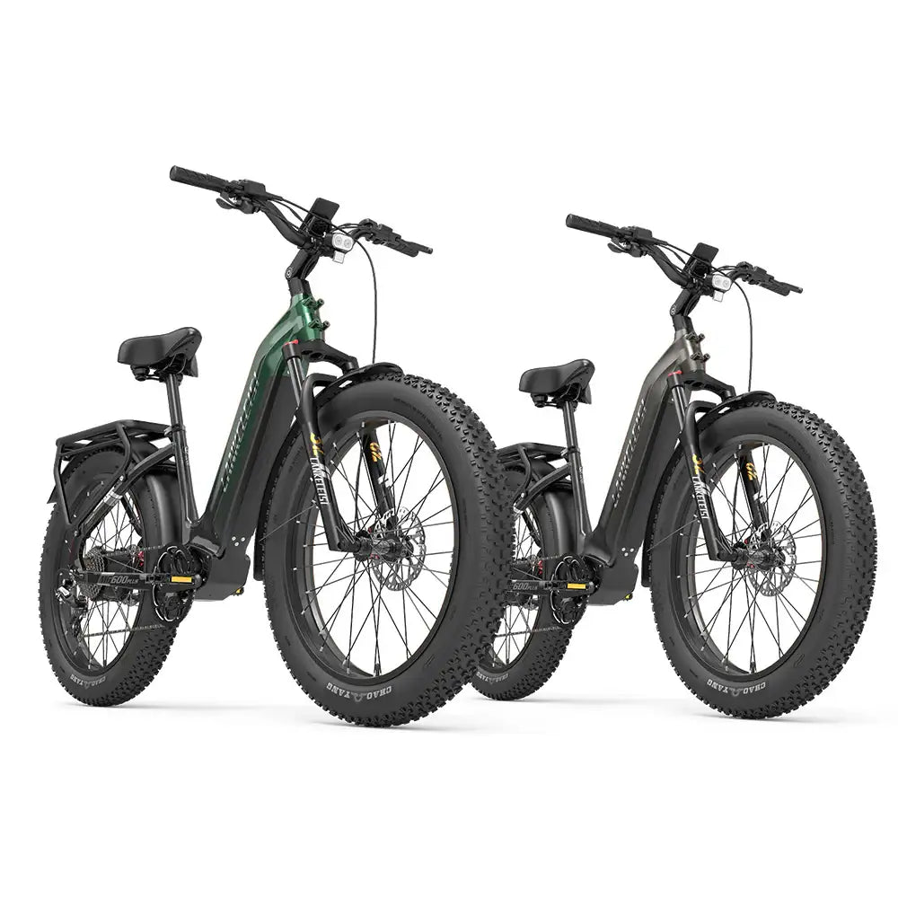 Lankeleisi MG600 Plus 2025 Version Dual Electric Bike Bundle