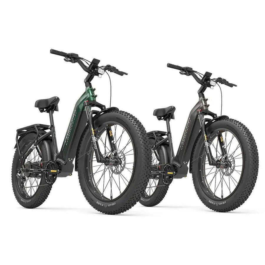 Lankeleisi MG600 Plus 2025 Version Dual Electric Bike Bundle