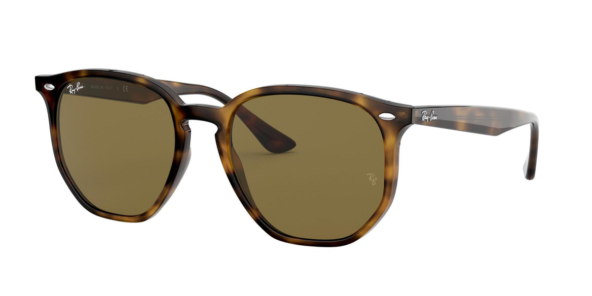 Ray - Ban RB4306 710/73 Unisex Sunglasses Injected Turtle  Geometric Normal