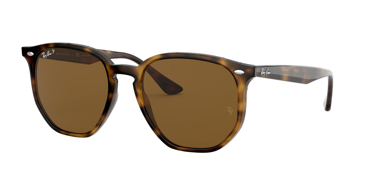 Ray - Ban RB4306 710/83 Unisex Sunglasses Injected Turtle  Geometric Polarized
