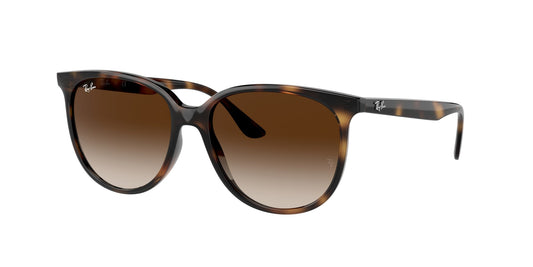 Ray - Ban RB4378 710/13 Woman Sunglasses Injected Turtle Brown Squared Normal Shaded