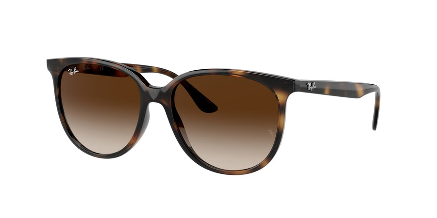 Ray - Ban RB4378 710/13 Woman Sunglasses Injected Turtle Brown Squared Normal Shaded