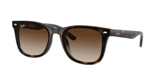 Ray - Ban RB4420 710/13 Unisex Sunglasses Injected Turtle Brown Squared Normal Shaded