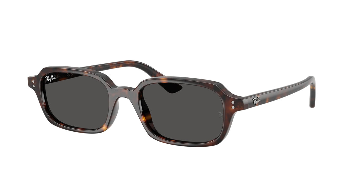 Ray - Ban RB4455 ZURI 135987 Unisex Sunglasses Injected Turtle Grey Pillow Normal