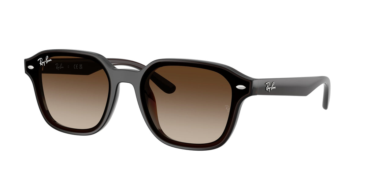 Ray - Ban RB4458D 714/13 Unisex Sunglasses Nylon Brown Brown Squared Normal Shaded