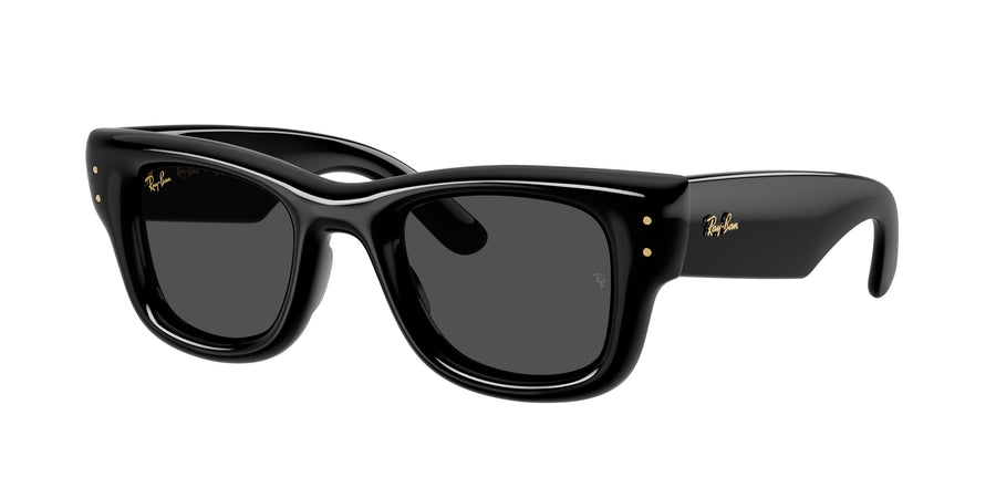 Ray - Ban A$AP Rocky RB4940 WAYFARER PUFFER 601/87 Unisex Sunglasses Nylon Black Black Squared Normal