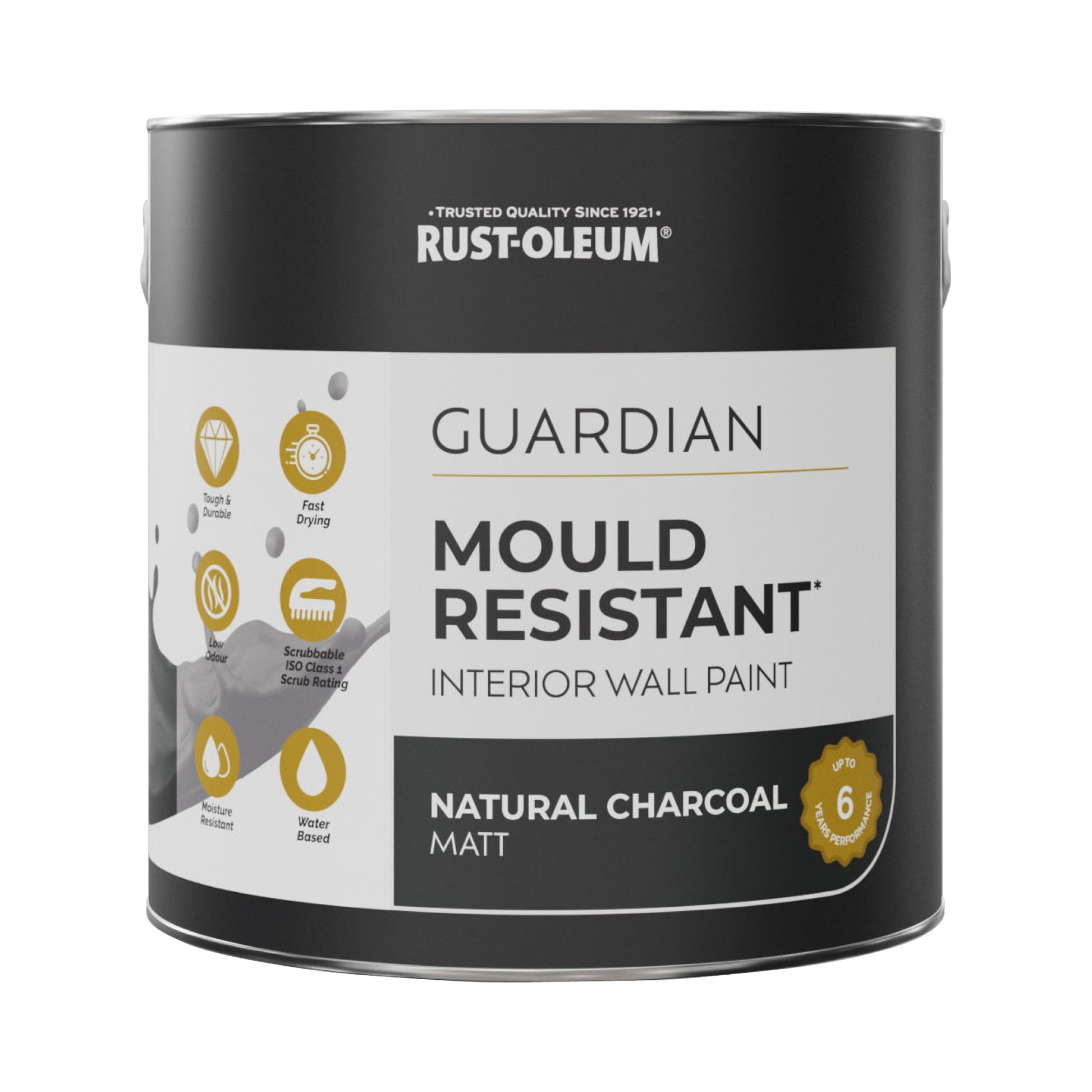 Guardian Mould Resistant Black Interior Wall Paint - Natural Charcoal 2.5L