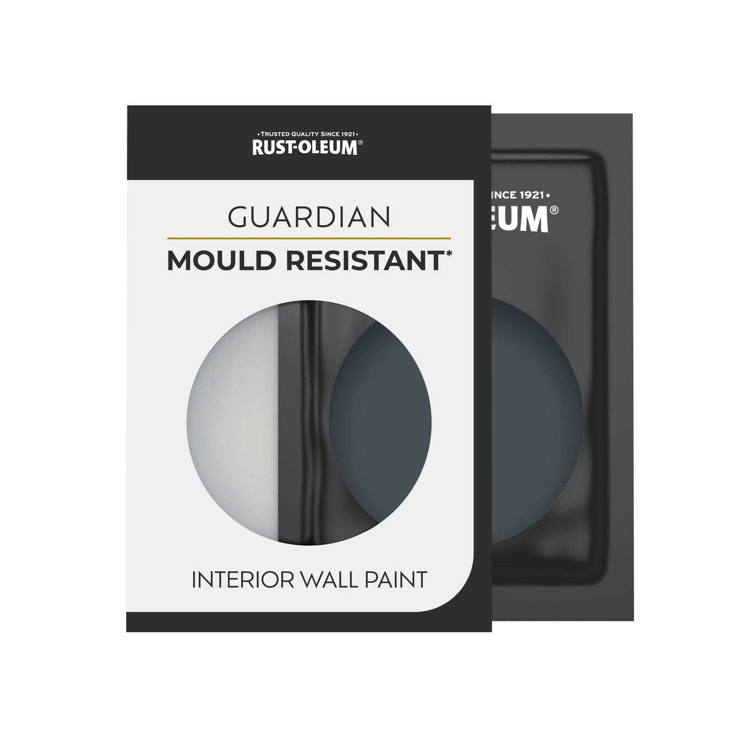 Guardian Mould Resistant Grey Interior Wall Paint - Anthracite (RAL 7016) 10ml