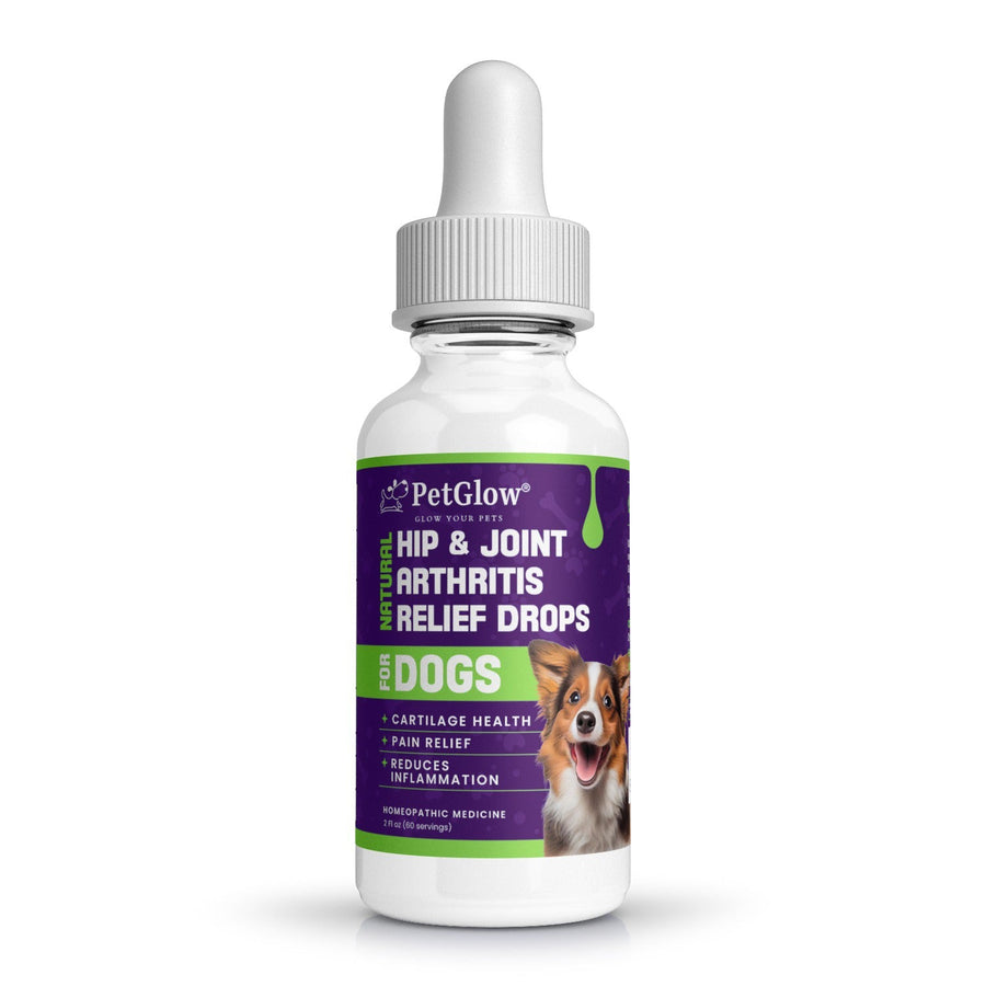 PetGlow® Natural Hip &amp; Joint Arthritis Relief Drops with Curcumin &amp; Boswellia for Dogs &amp; Cats
