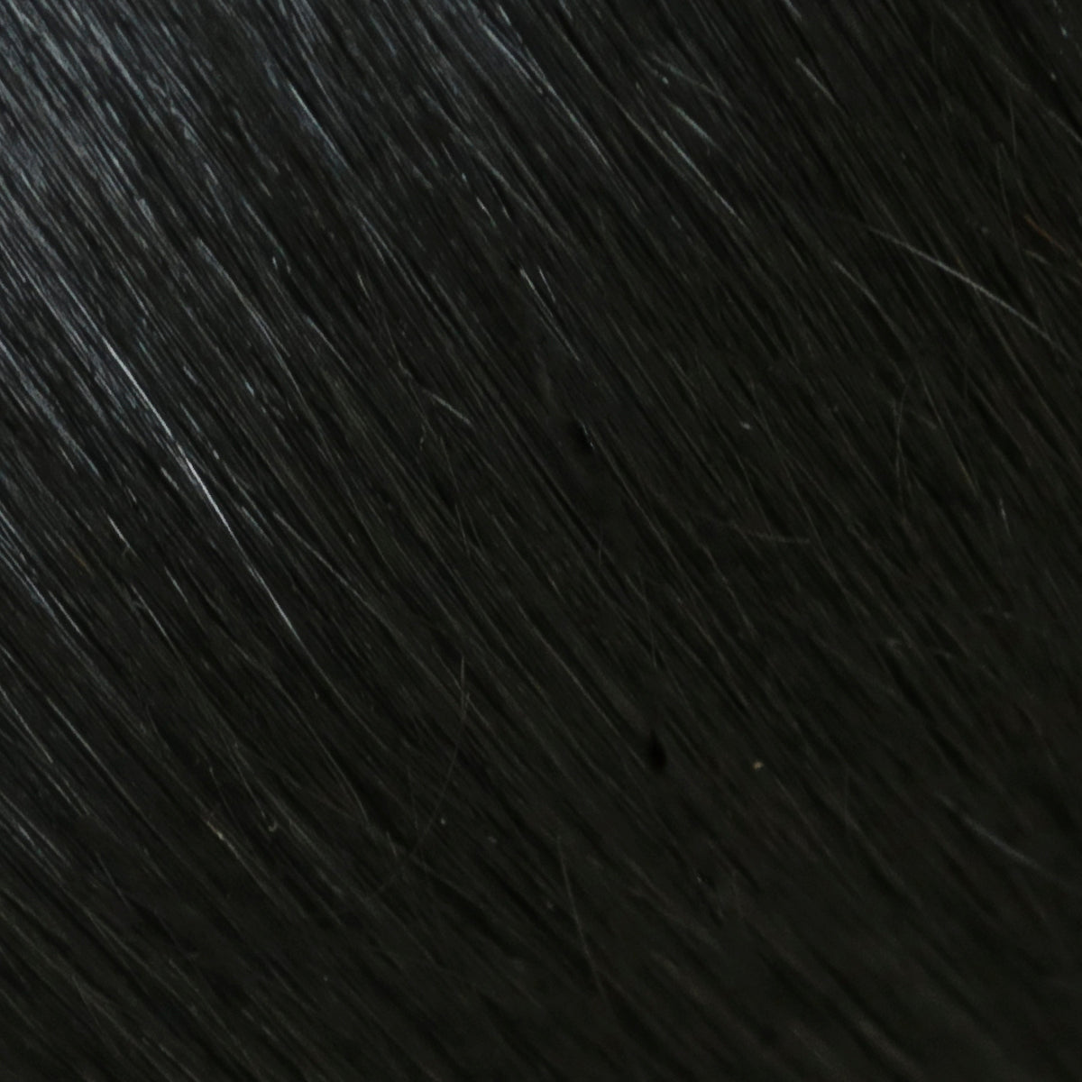 Clip Remy Hair Extensions — 22" - 1 Jet Black
