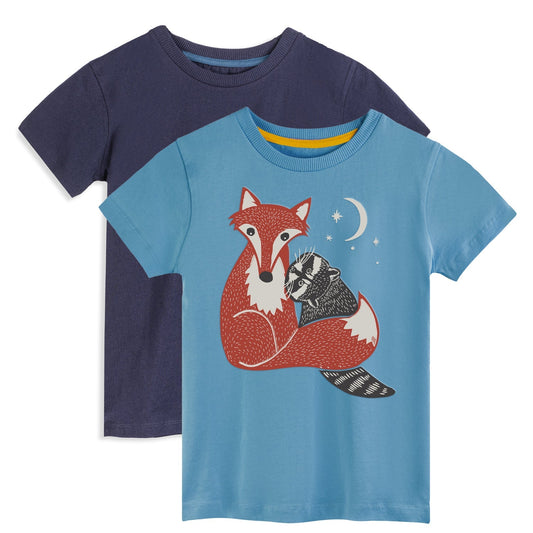 Organic Cotton Kids Graphic Tee 2-Pack | Color: Galaxy | Size: 2T