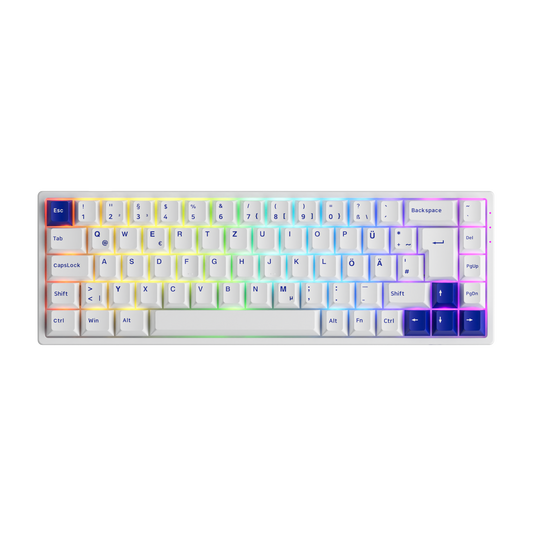 Blue on White 3068B Plus ISO - ISO-DE / Akko CS Jelly Purple