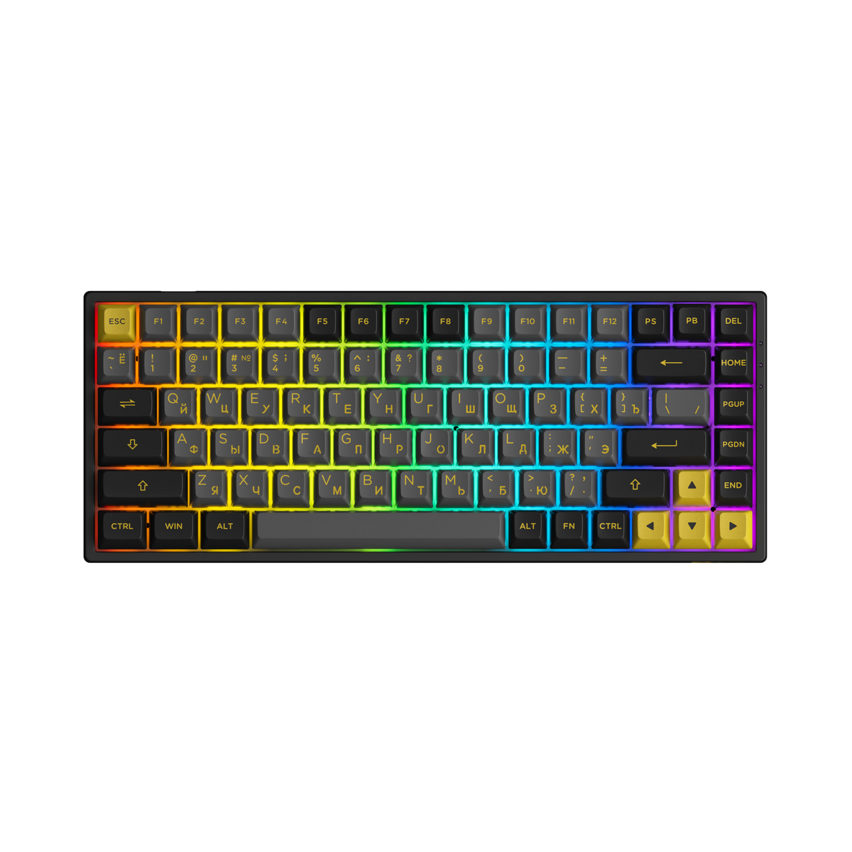 Black & Gold 3084B Plus