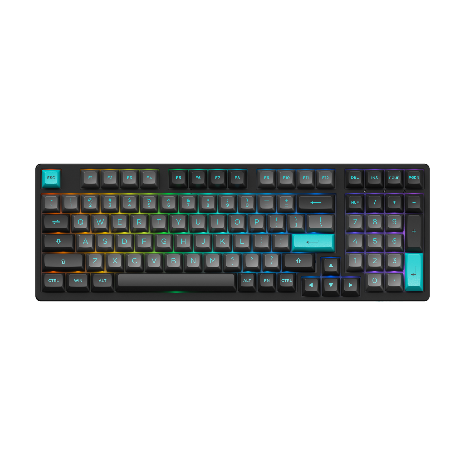 Black & Cyan 3098N - TTC Honey