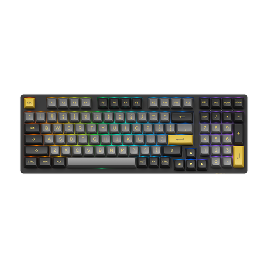 Black & Gold 3098N