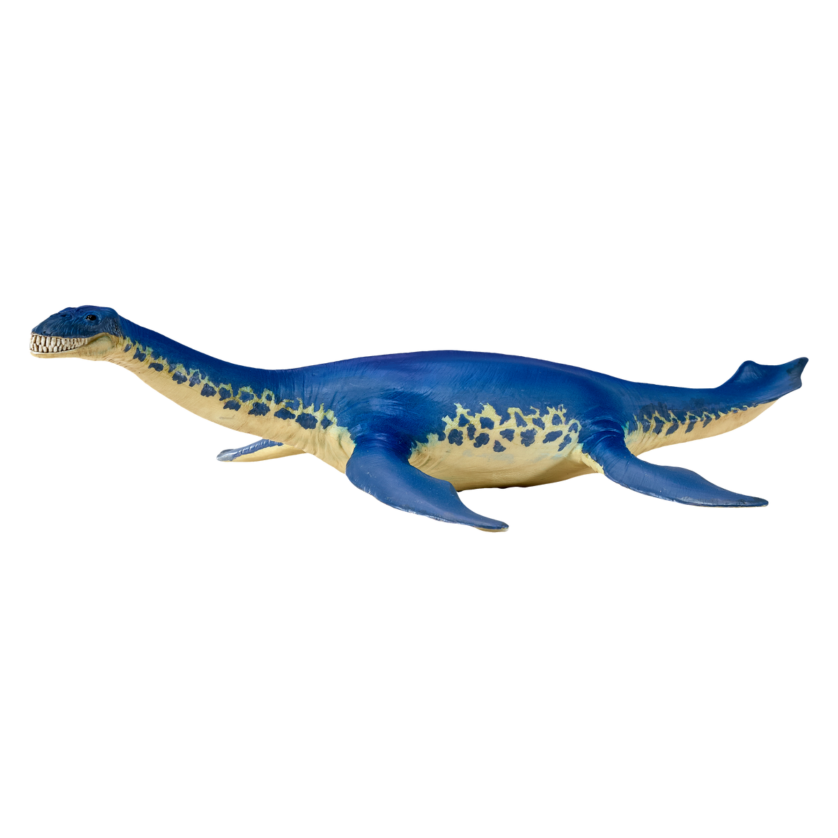 Cryptoclidus