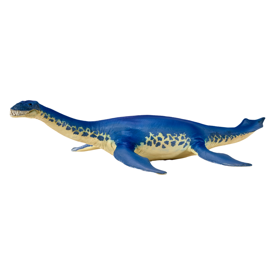 Cryptoclidus