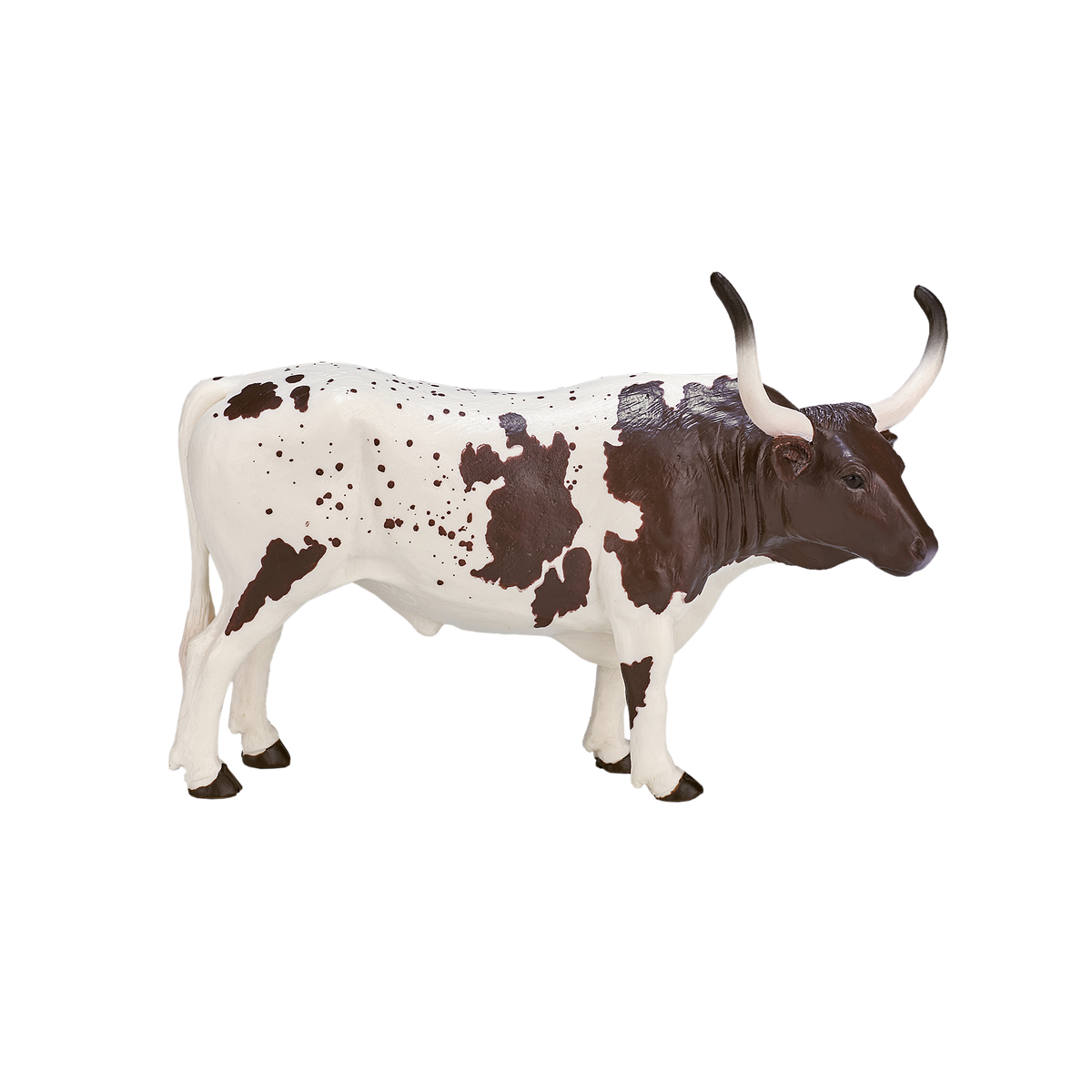 Texas Longhorn Bull