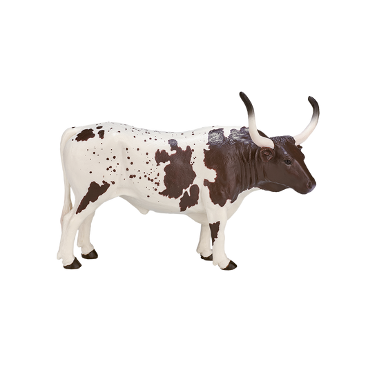 Texas Longhorn Bull