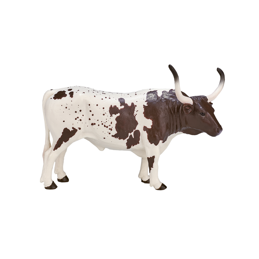 Texas Longhorn Bull
