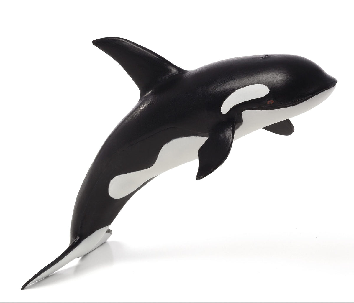 Orca Deluxe