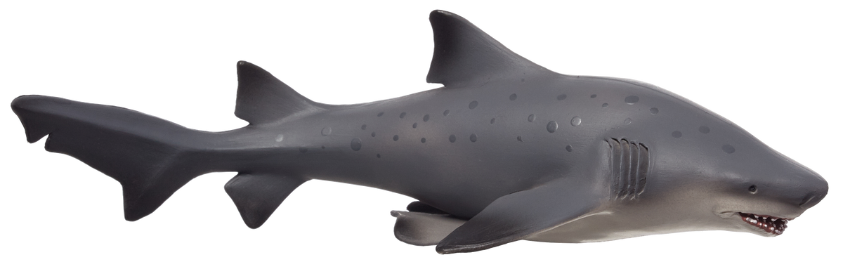 Bull Shark Deluxe