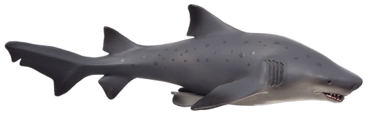 Bull Shark Deluxe